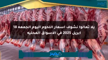 يلا تعالوا نشوف أسعار اللحوم اليوم الجمعة 18 أبريل 2025 في الأسواق المحلية
